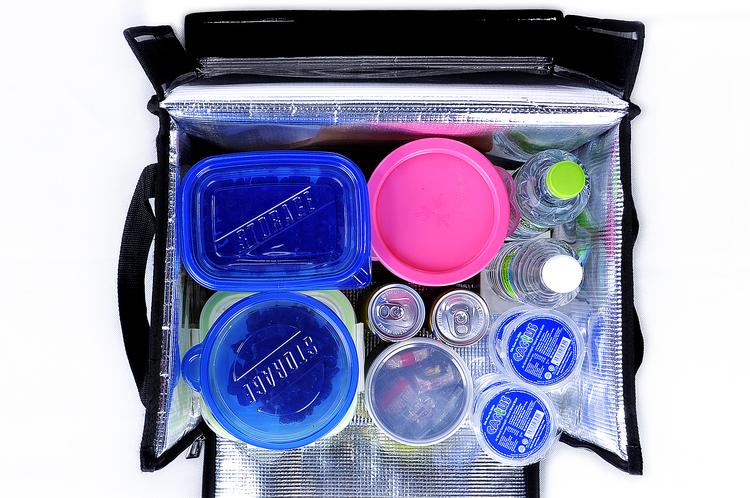 FOOD DELIVERY BAG (S) 36L - FDB 0036