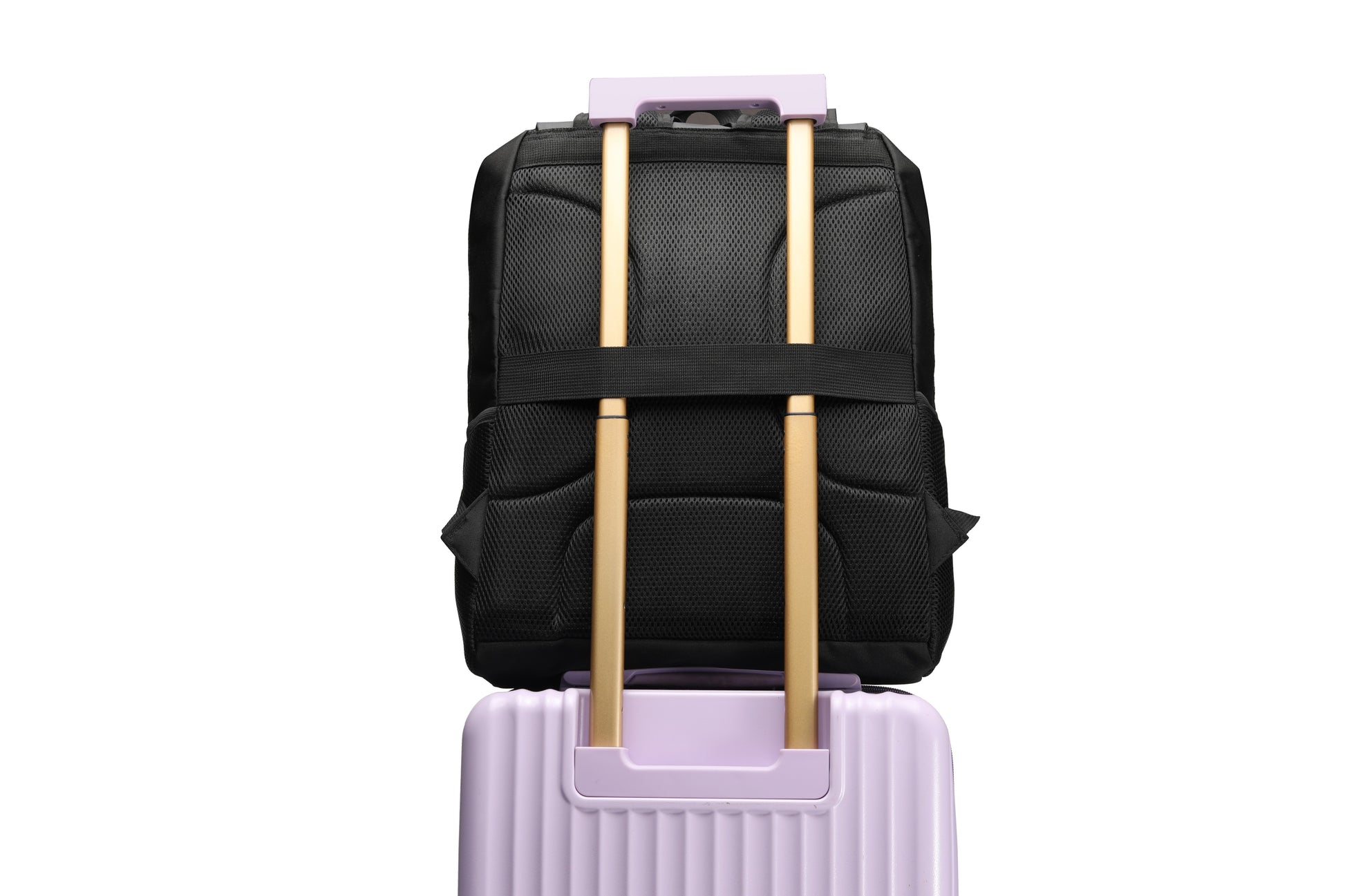 Black backpack with gold straps on a white background